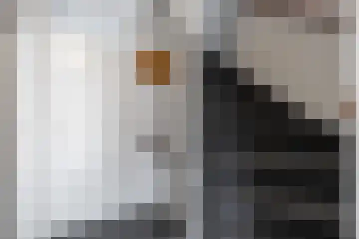 Jensemaheerd 84 Groningen thumbnail 21