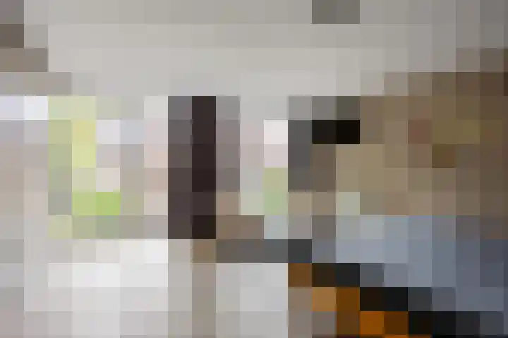 Jensemaheerd 84 Groningen thumbnail 24