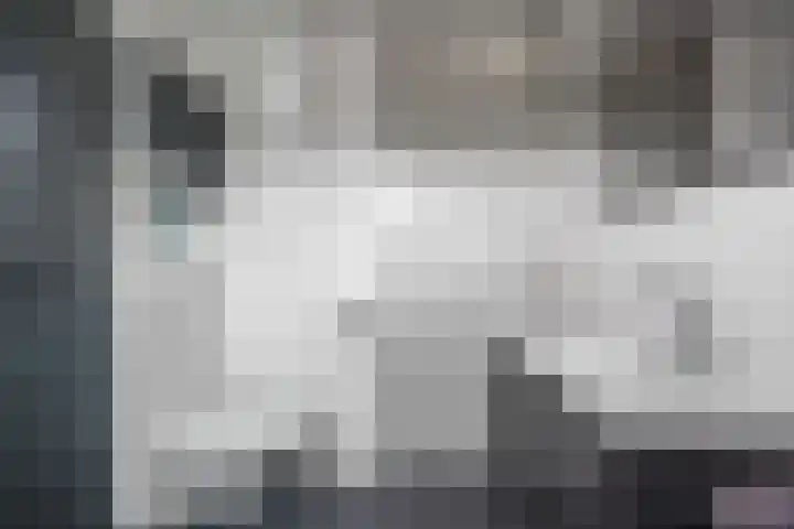 Jensemaheerd 84 Groningen thumbnail 30