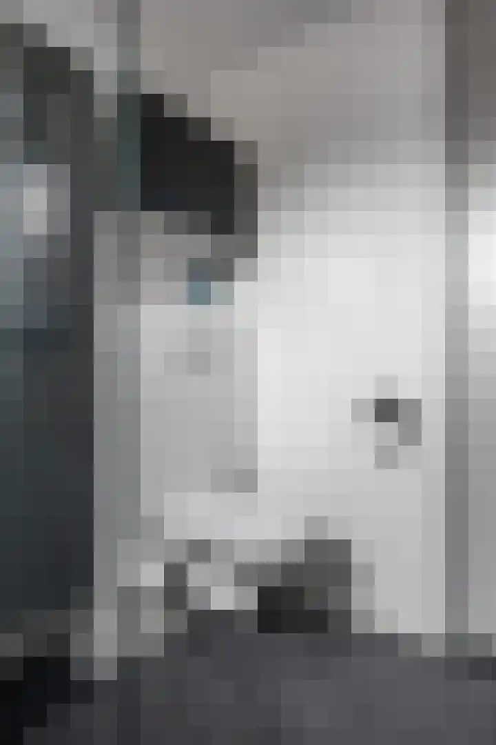 Jensemaheerd 84 Groningen thumbnail 31