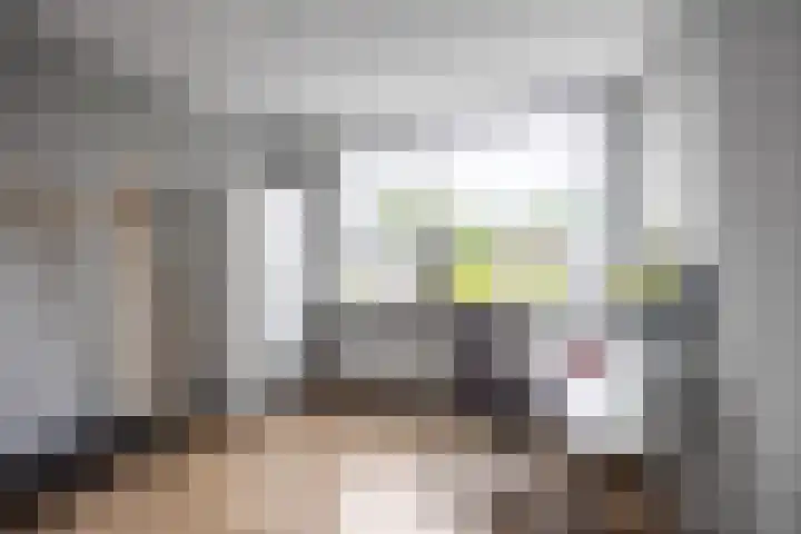 Jensemaheerd 84 Groningen thumbnail 32