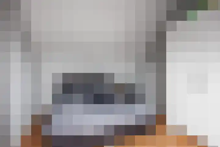 Jensemaheerd 84 Groningen thumbnail 35