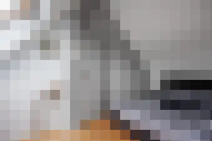 Jensemaheerd 84 Groningen thumbnail 37
