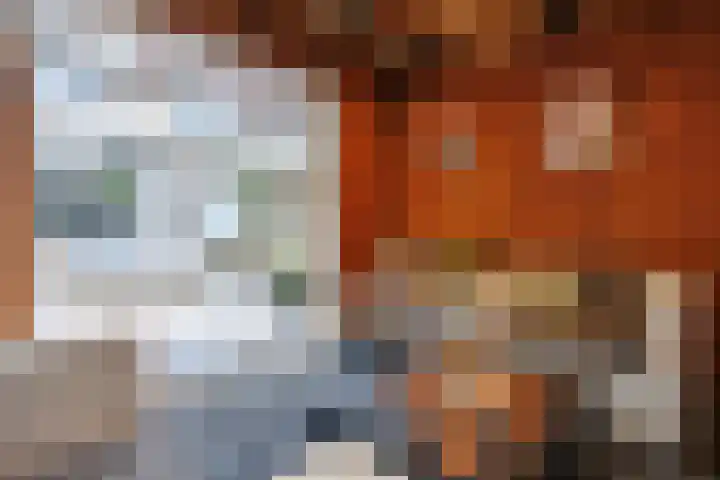 Jensemaheerd 84 Groningen thumbnail 47