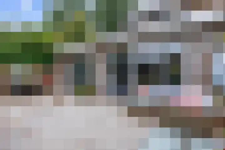 Jensemaheerd 84 Groningen thumbnail 49
