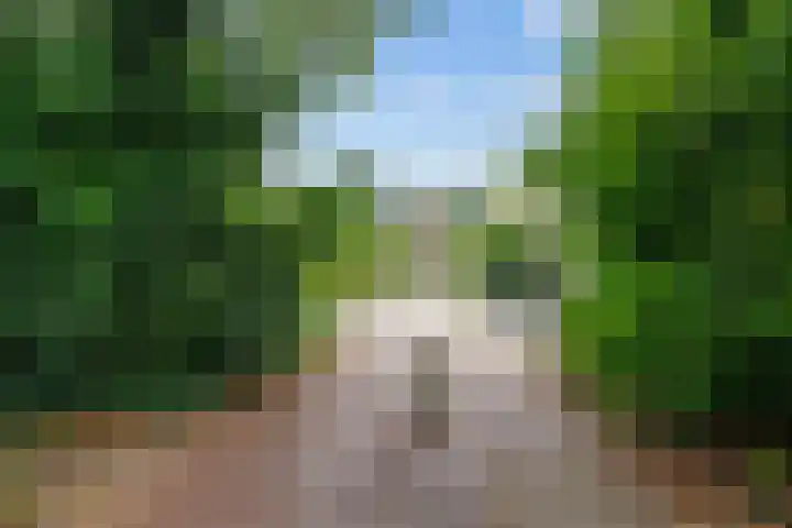 Jensemaheerd 84 Groningen thumbnail 51