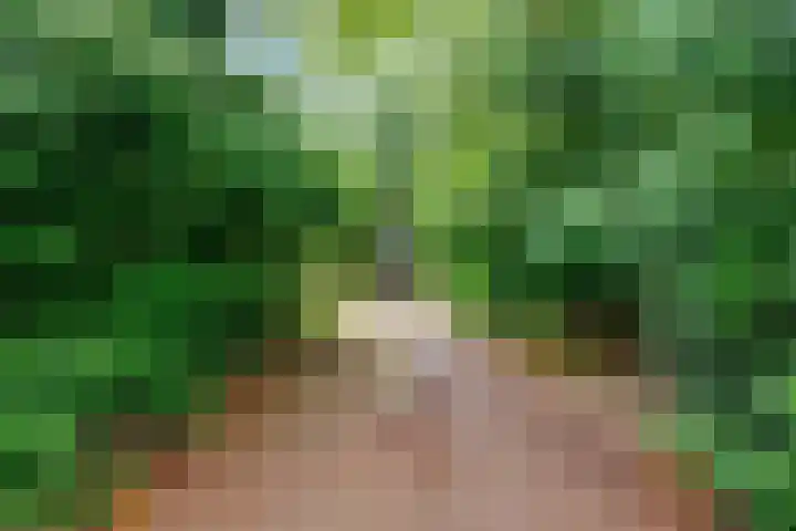 Jensemaheerd 84 Groningen thumbnail 52