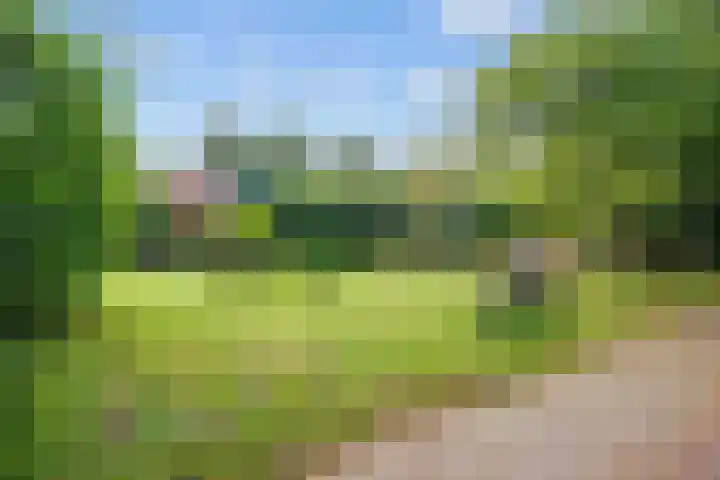 Jensemaheerd 84 Groningen thumbnail 53
