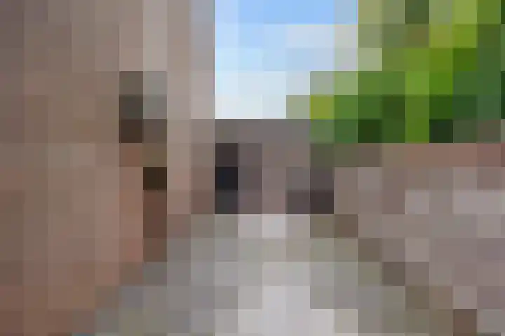 Jensemaheerd 84 Groningen thumbnail 7