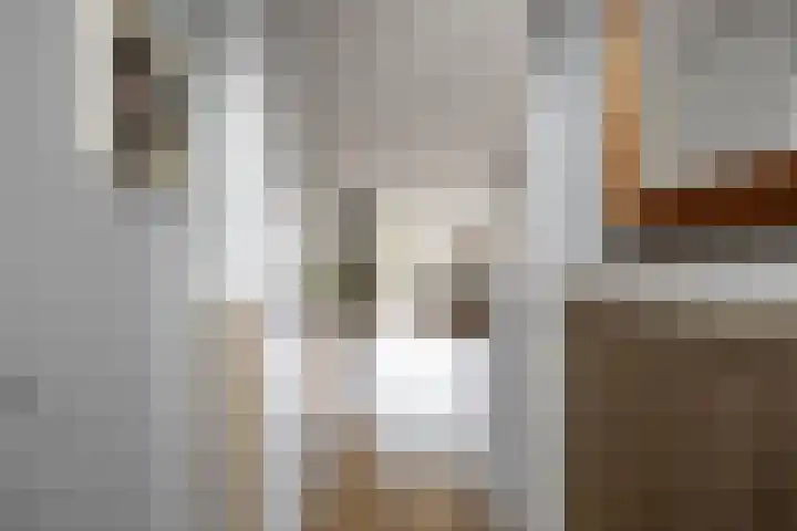 Jensemaheerd 84 Groningen thumbnail 9