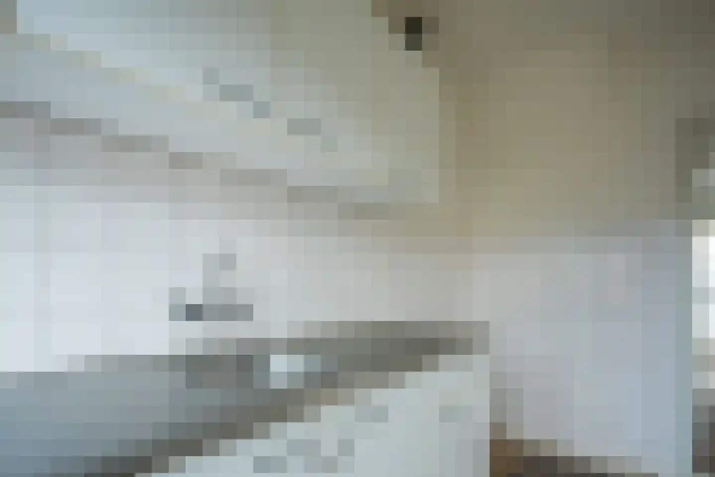 Jensmastrjitte 12 Augustinusga thumbnail 13