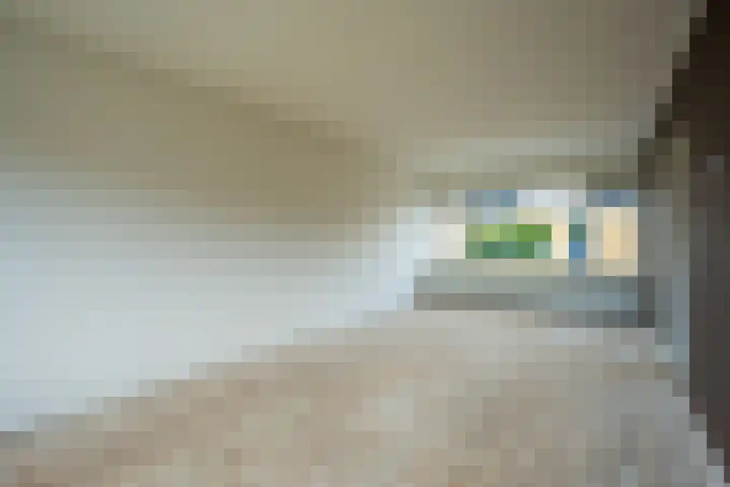 Jensmastrjitte 12 Augustinusga thumbnail 9