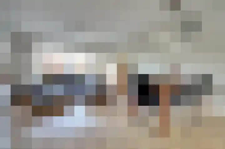 Jentjemeerhof 5 Berkel en Rodenrijs thumbnail 12