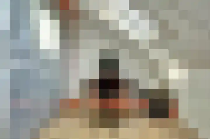 Jentjemeerhof 5 Berkel en Rodenrijs thumbnail 31