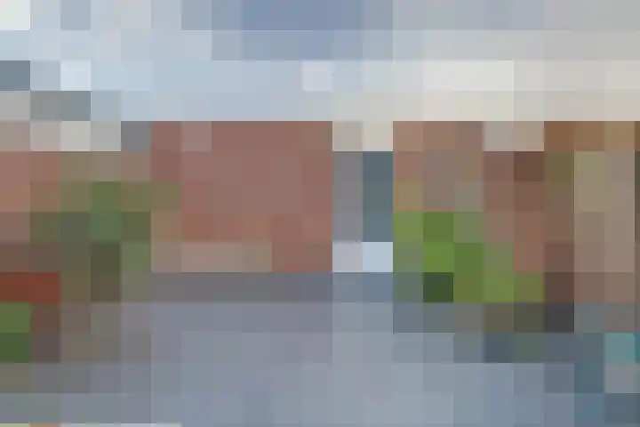 Jentjemeerhof 5 Berkel en Rodenrijs thumbnail 34