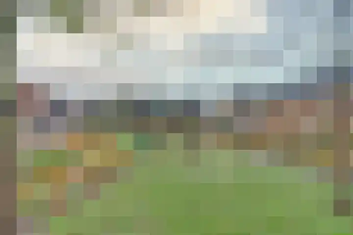 Jentjemeerhof 5 Berkel en Rodenrijs thumbnail 36
