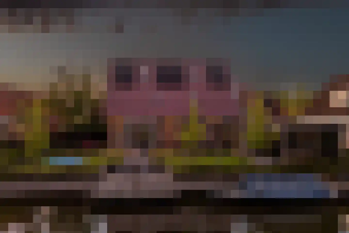 Jentsjemar 11 Leeuwarden thumbnail 69
