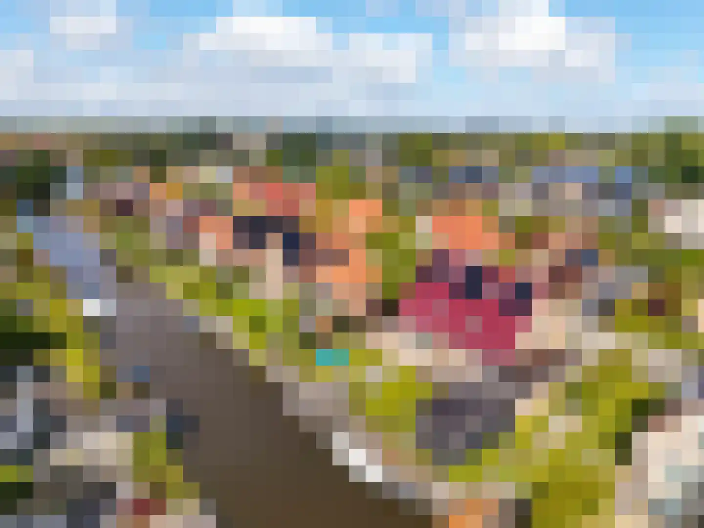 Jentsjemar 11 Leeuwarden thumbnail 71