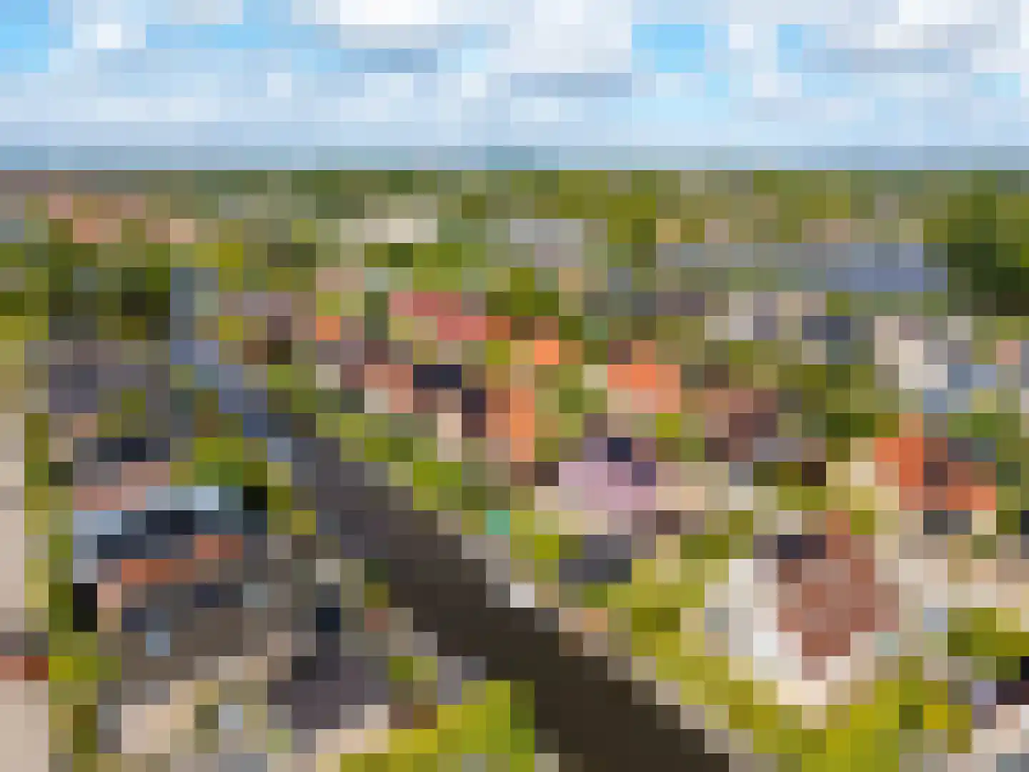 Jentsjemar 11 Leeuwarden thumbnail 75