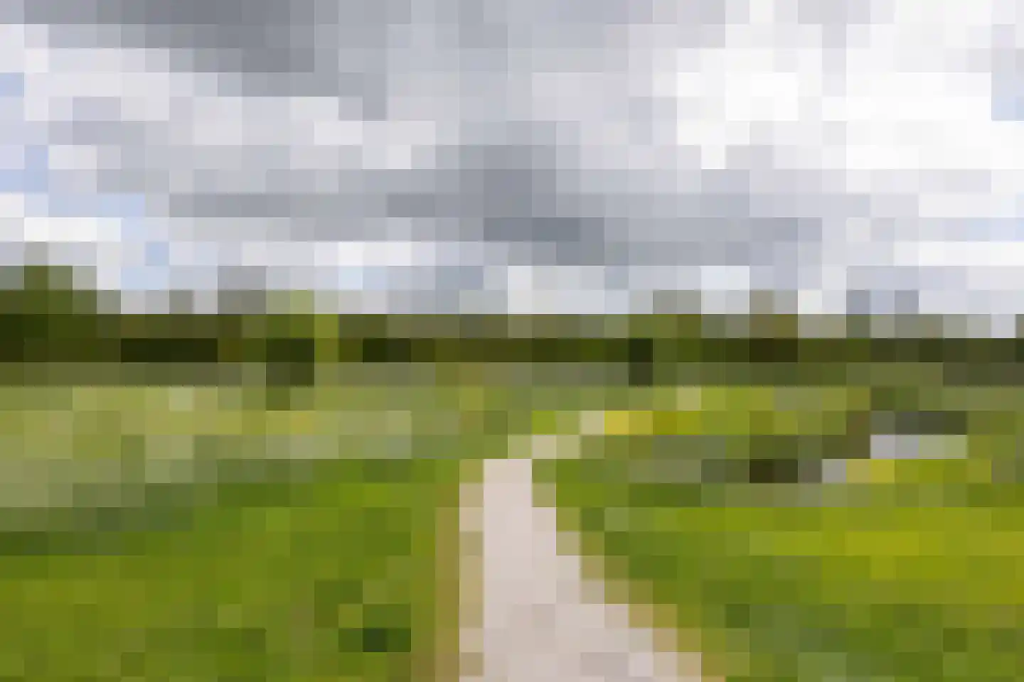 Jentsjemar 11 Leeuwarden thumbnail 76