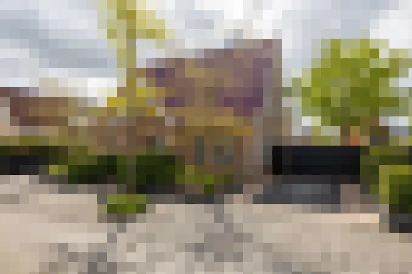 Jentsjemar 11 Leeuwarden thumbnail 9