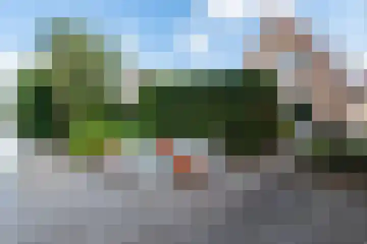 Jentsjemar 14 Leeuwarden thumbnail 39
