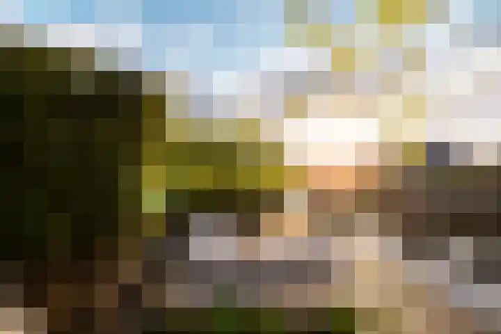 Jentsjemar 14 Leeuwarden thumbnail 5