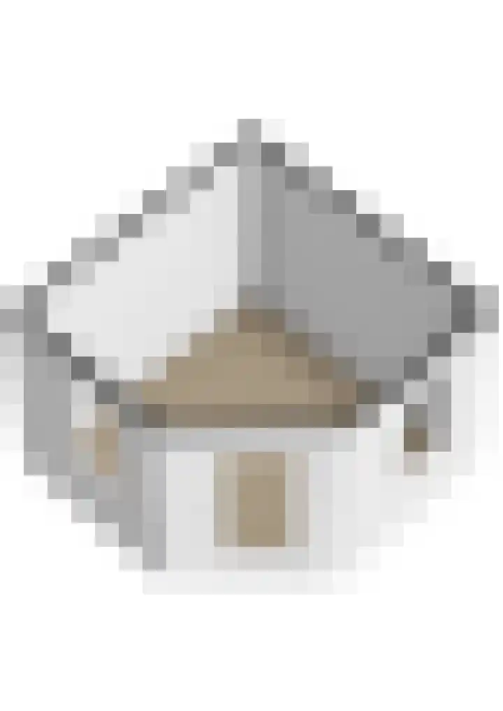Jentsjemar 14 Leeuwarden thumbnail 66