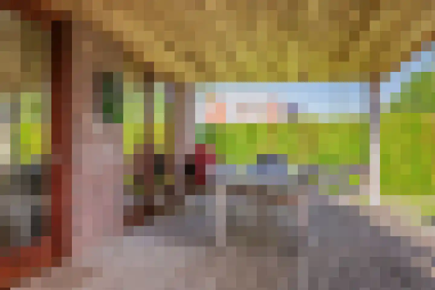 Jentsjemar 28 Leeuwarden thumbnail 33