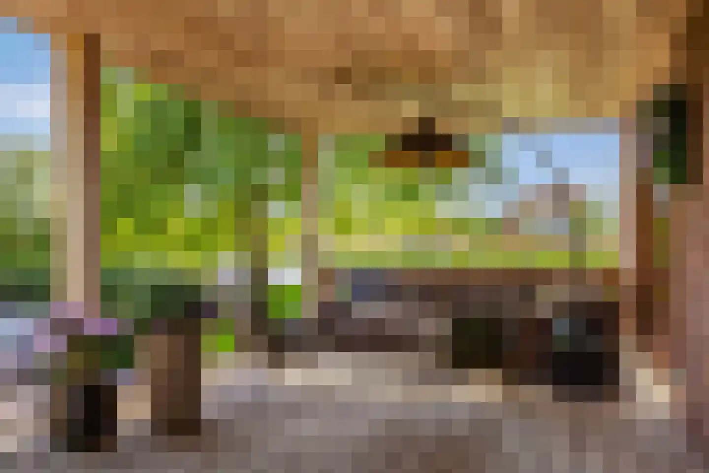 Jentsjemar 28 Leeuwarden thumbnail 34
