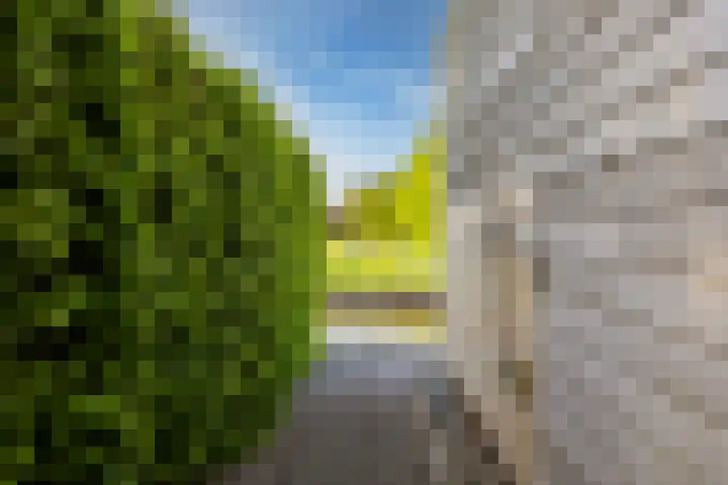 Jentsjemar 28 Leeuwarden thumbnail 44