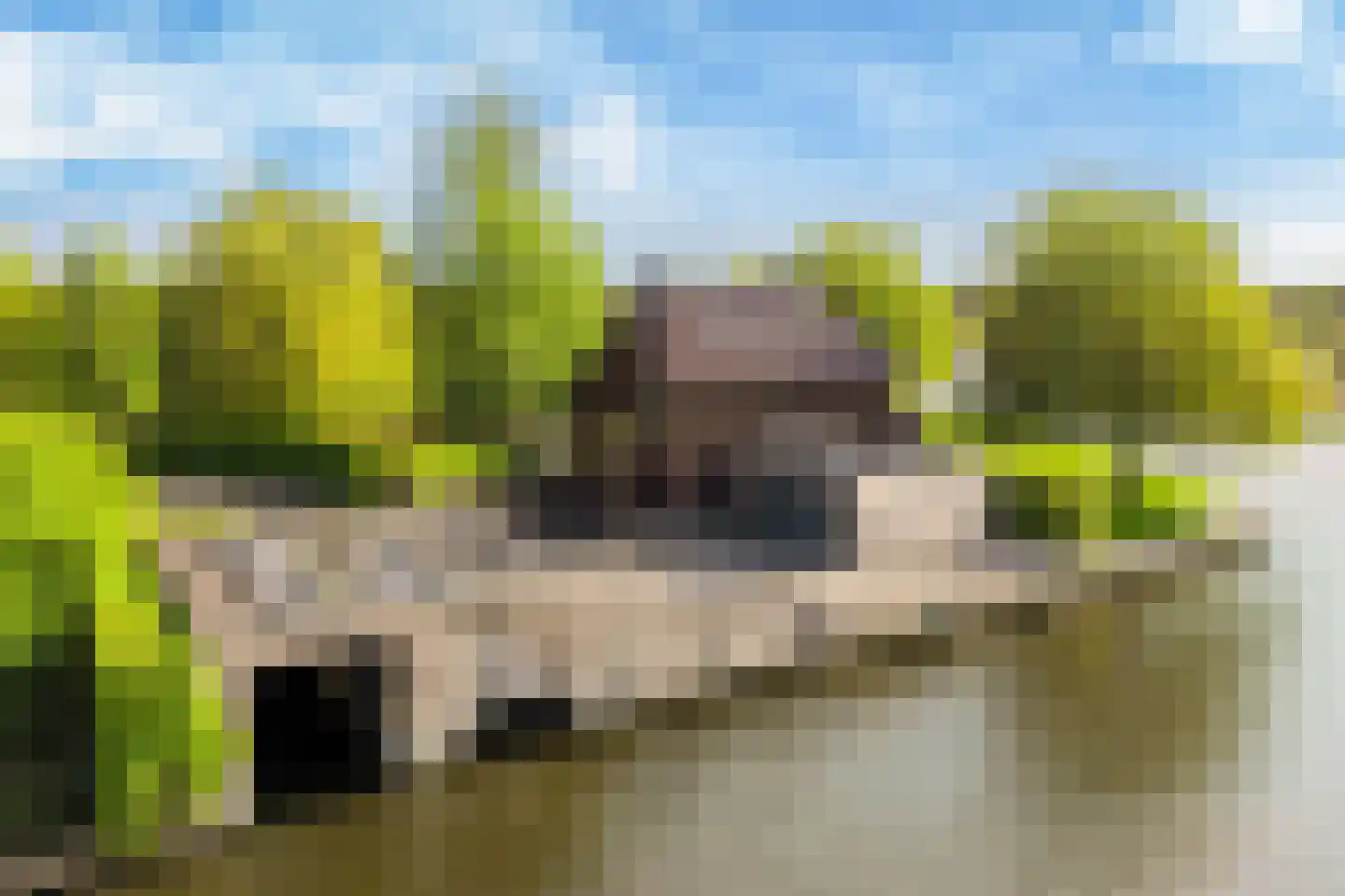 Jentsjemar 28 Leeuwarden thumbnail 84