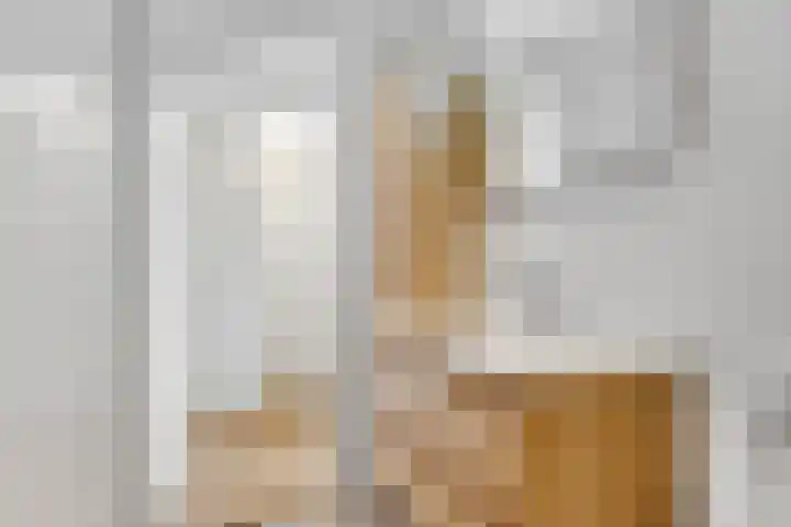Jeremiestraat 10 Utrecht thumbnail 26