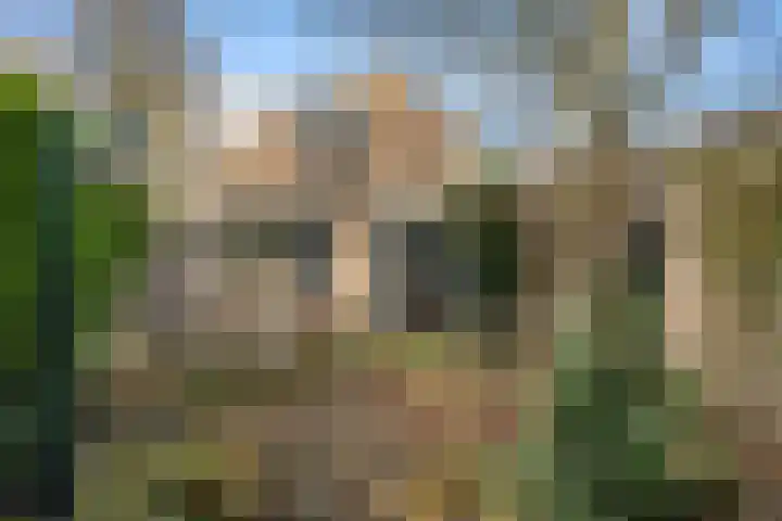 Jerfaasplantsoen 6 Bennekom thumbnail 10
