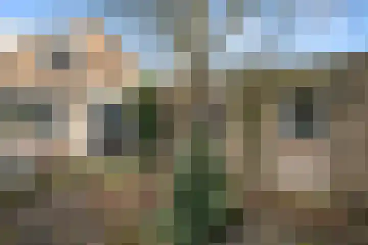 Jerfaasplantsoen 6 Bennekom thumbnail 11
