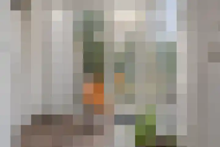 Jerfaasplantsoen 6 Bennekom thumbnail 21