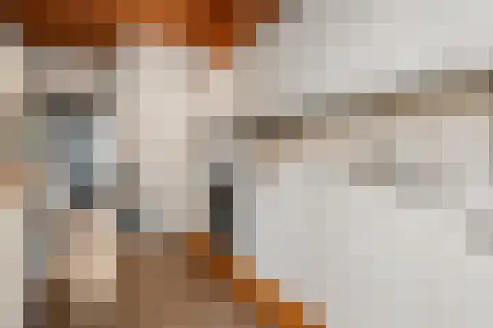 Jerfaasplantsoen 6 Bennekom thumbnail 24