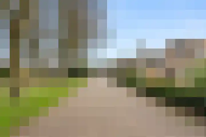 Jerfaasplantsoen 6 Bennekom thumbnail 4