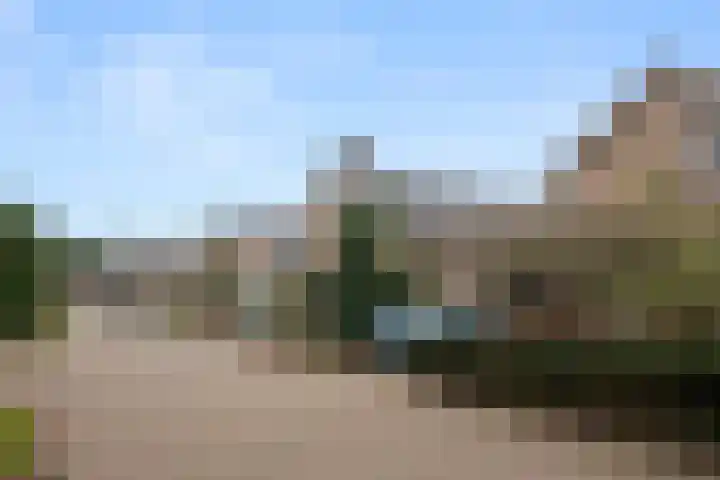 Jerfaasplantsoen 6 Bennekom thumbnail 7