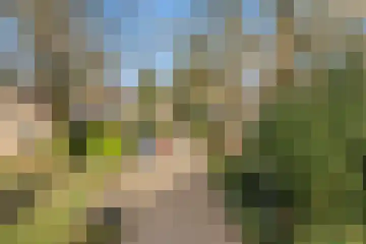 Jerfaasplantsoen 6 Bennekom thumbnail 9