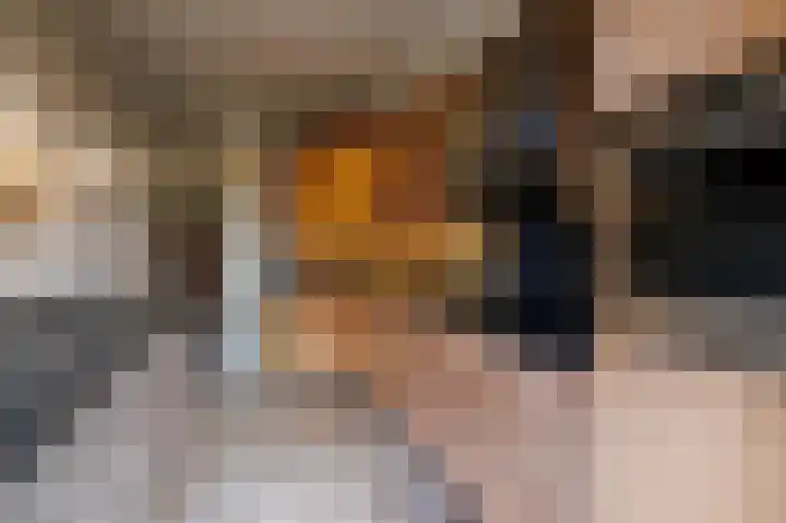 Jerfaasplantsoen 9 Bennekom thumbnail 17