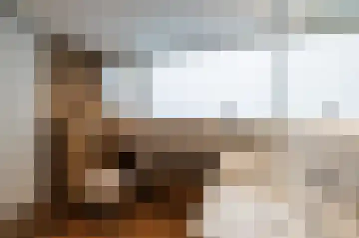 Jerfaasplantsoen 9 Bennekom thumbnail 24