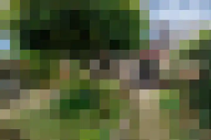 Jerfaasplantsoen 9 Bennekom thumbnail 28