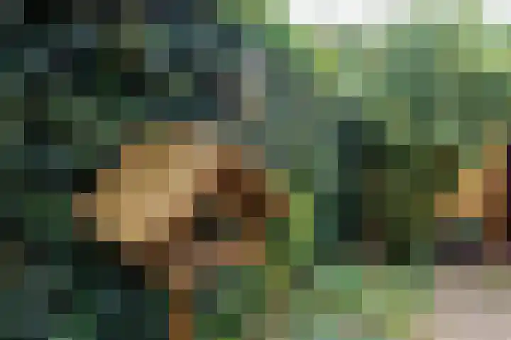 Jerfaasplantsoen 9 Bennekom thumbnail 30