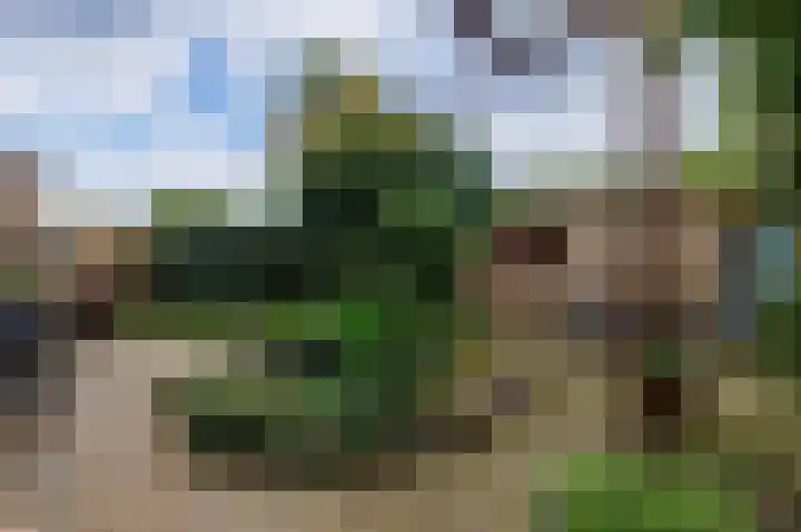 Jerfaasplantsoen 9 Bennekom thumbnail 31