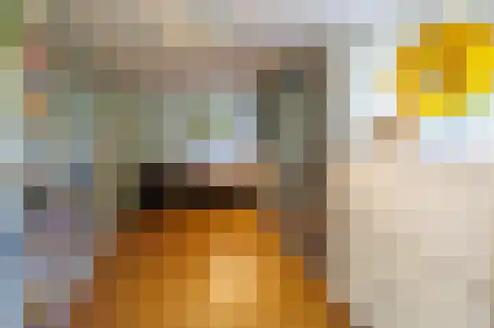 Jerfaasplantsoen 9 Bennekom thumbnail 34