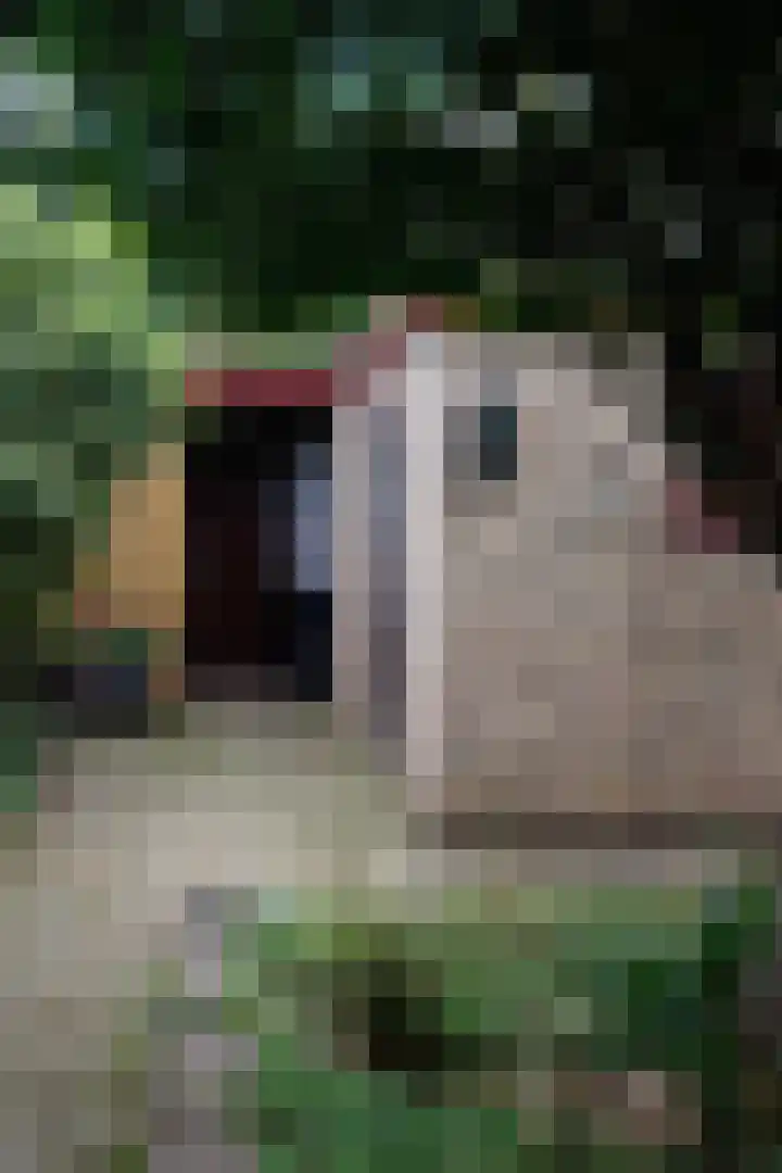 Jerfaasplantsoen 9 Bennekom thumbnail 36