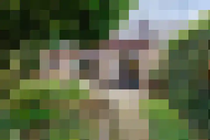 Jerfaasplantsoen 9 Bennekom thumbnail 37