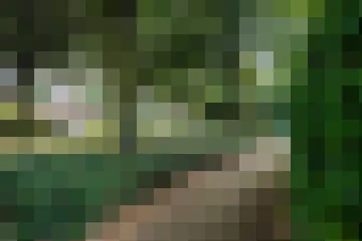 Jerfaasplantsoen 9 Bennekom thumbnail 42