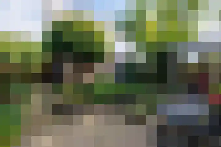 Jerfaasplantsoen 9 Bennekom thumbnail 45
